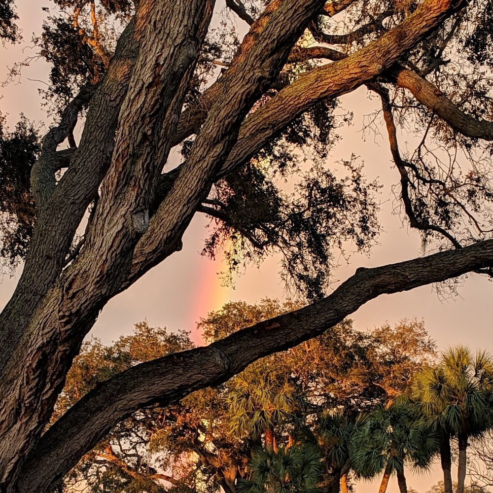 Welcome; please read.  (: